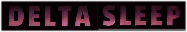 Delta Sleep - US logo